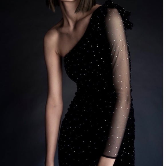 NWT ZARA | Bejewelled Asymmetric Black Tulle Dress SZ L - Picture 2 of 15